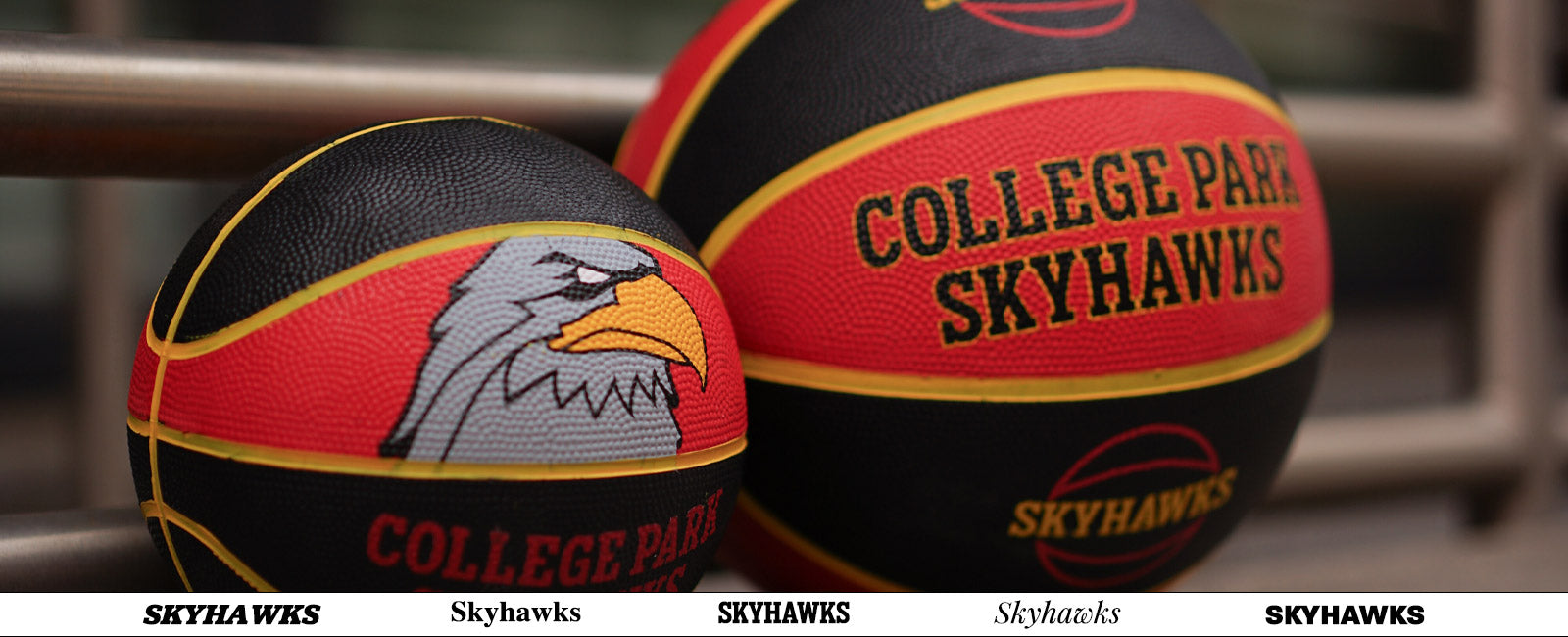 College Park Skyhawks