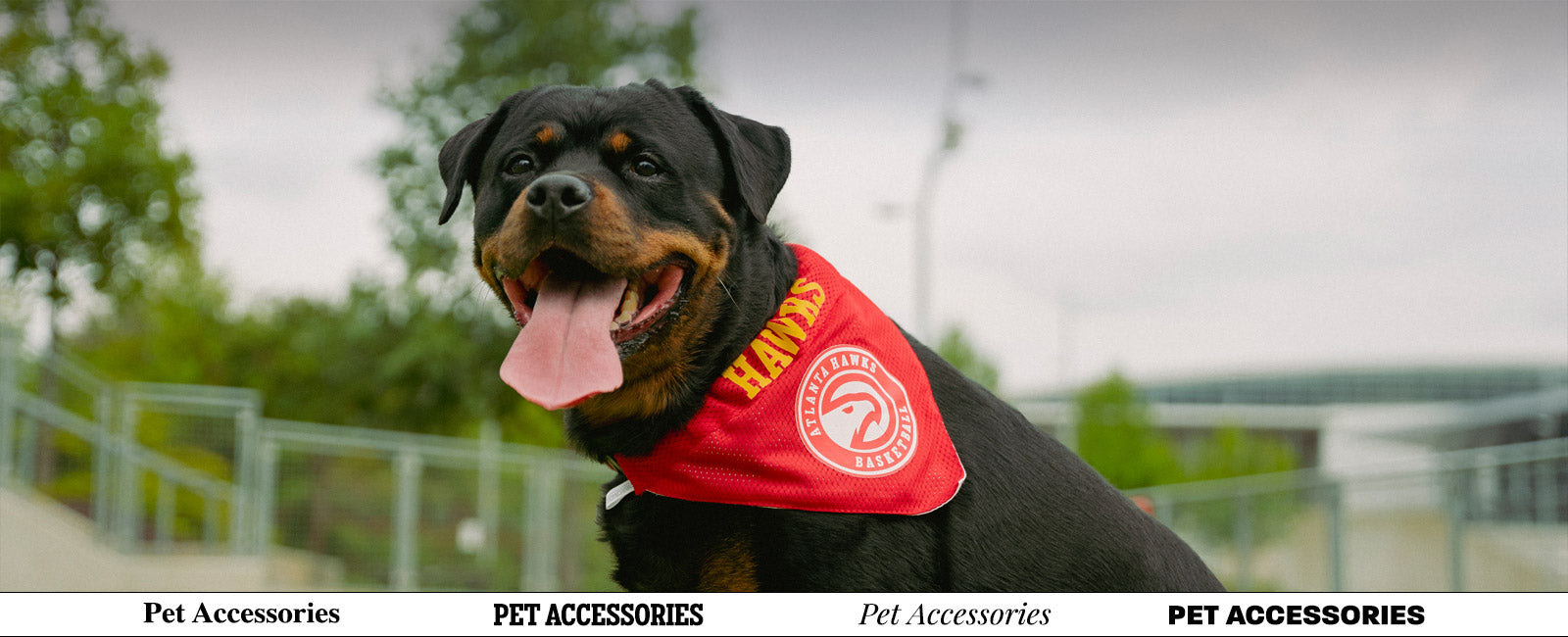 Pet Gear (accessories)
