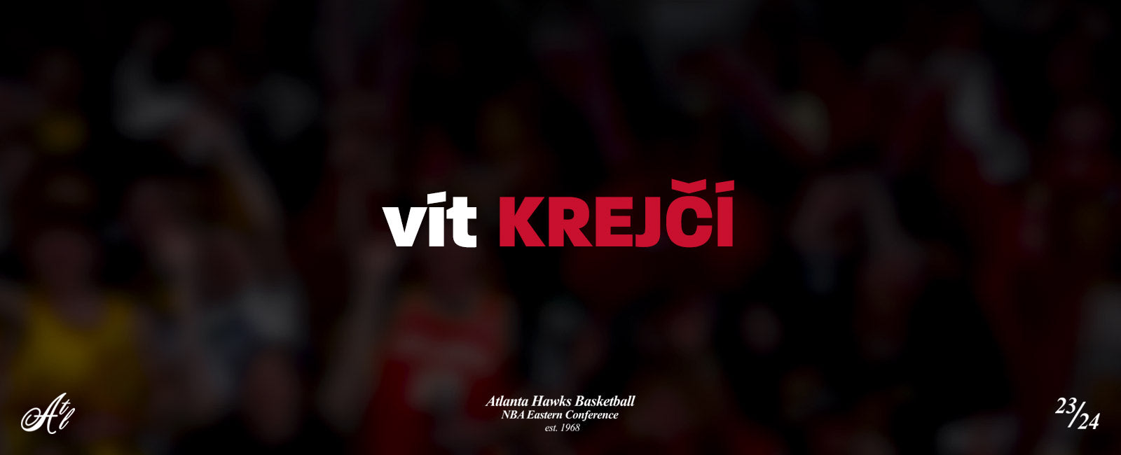 Vít Krejčí (player)