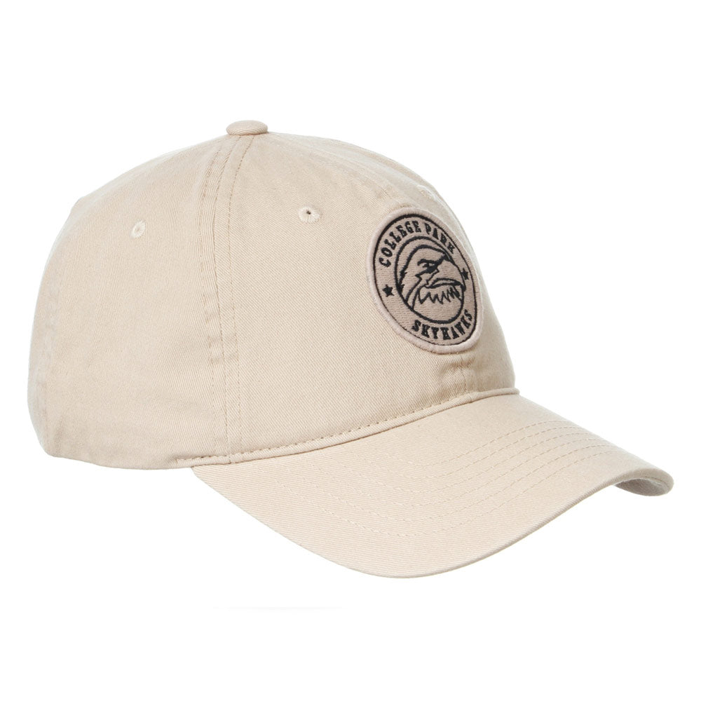 Skyhawks Stone Primary Dad Hat