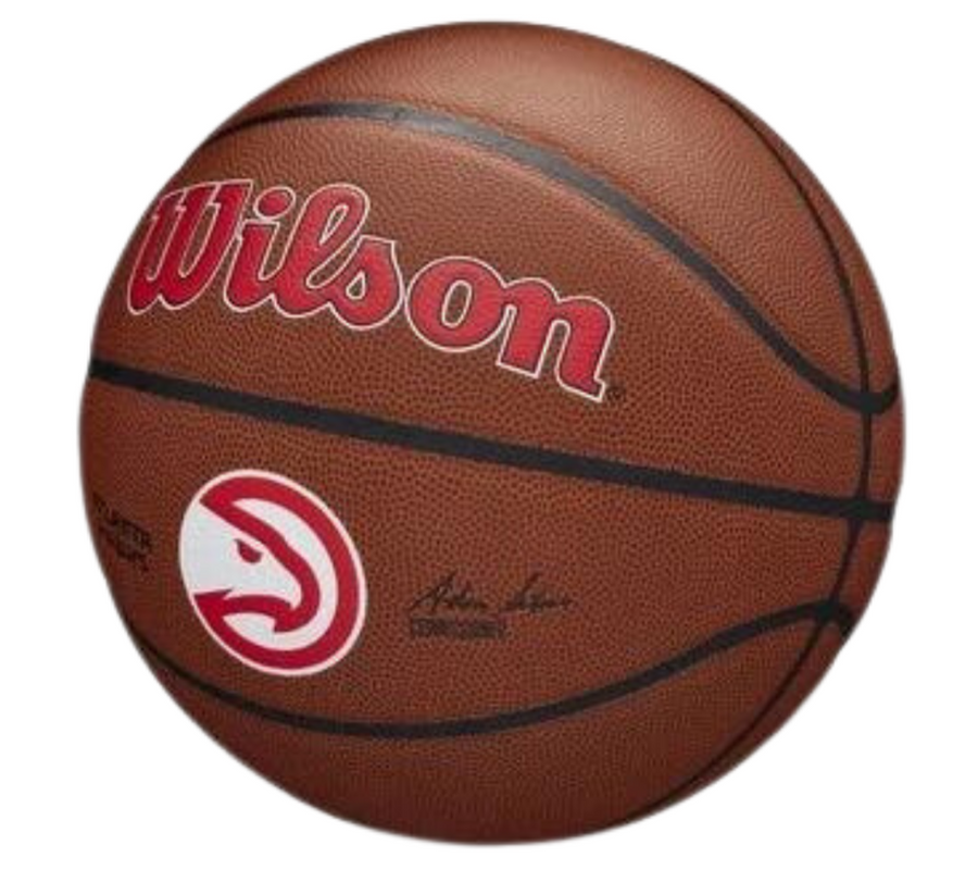 Wilson Hawks Team Alliance Basketball