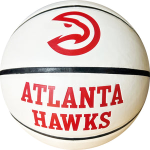 Hawks Auto Panel Evo/Wordmark Basketball