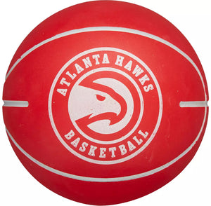 Wilson Hawks Dribble Bounce Ball