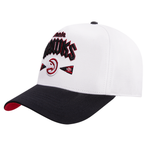 Pro Standard Hawks City Tour Snapback