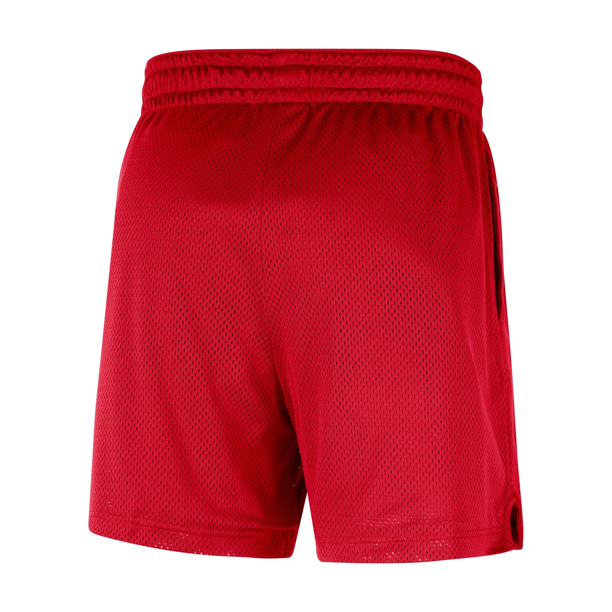 Nike Hawks Mesh Shorts