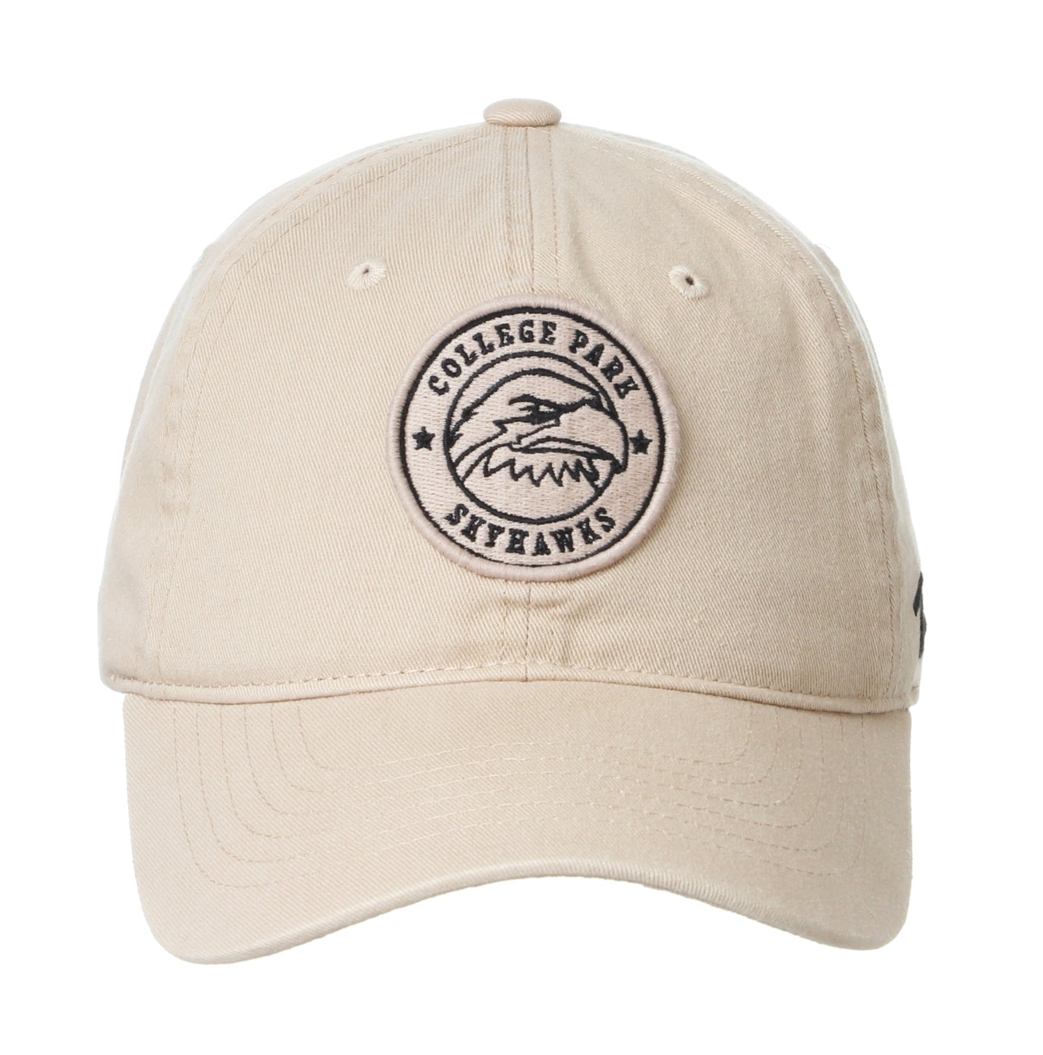 Skyhawks Stone Primary Dad Hat